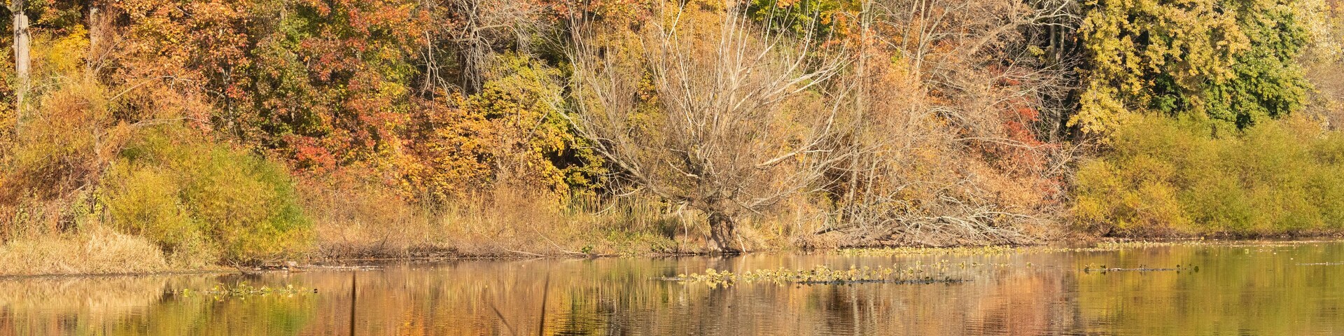 A gorgeous view of Jacksons Pond, in Clark New Jersey during the fall. The colorful fall foliage is reflected in the water.