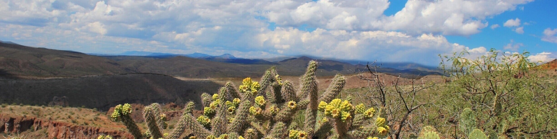 Close to the Reservation