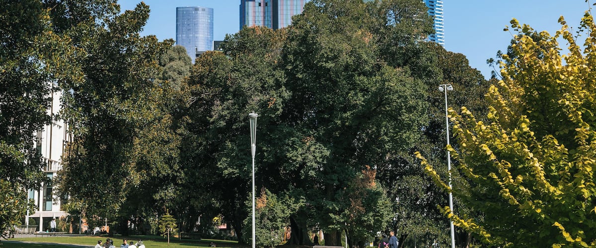 A park with trees, a bench, and modern buildings in the background.