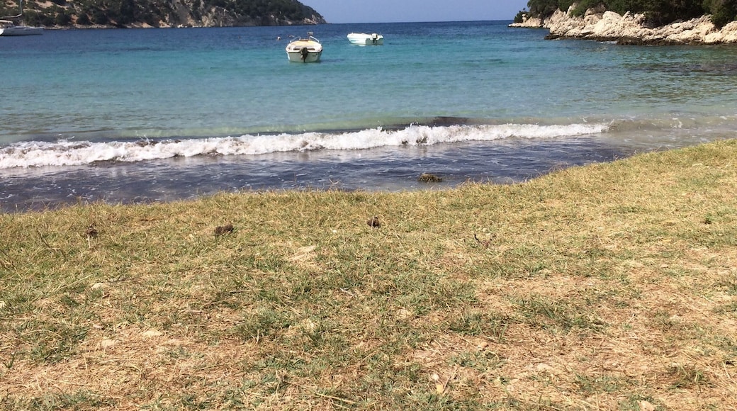 Lovely beach with a shack/taverna that cooks the most amazing fish dishes right on the beach