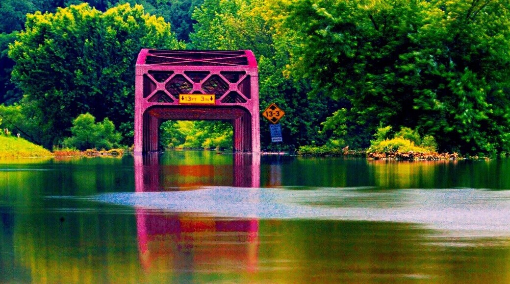 Good fishing spot but regularly is flooded by the Tionesta Dam