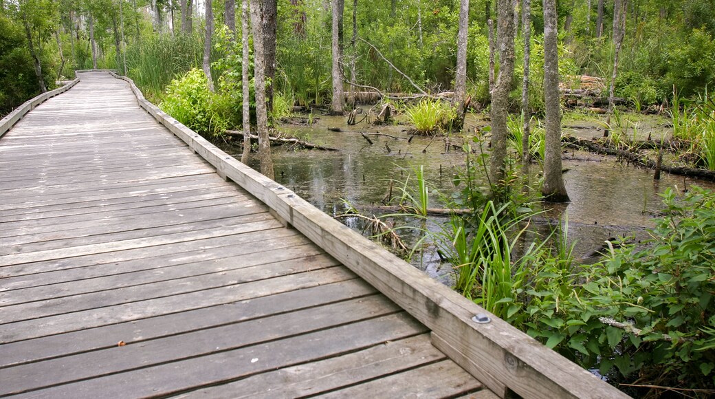 Goose Creek State Park