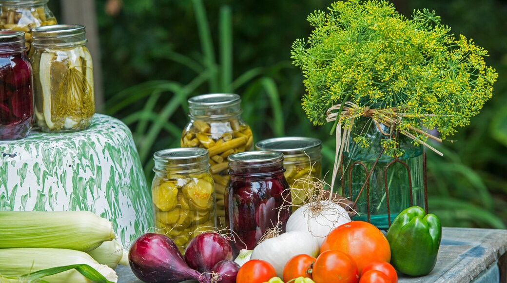 Garden Vegetables from Summer Harvest. Home canned goods in Ball Jars for preservation.