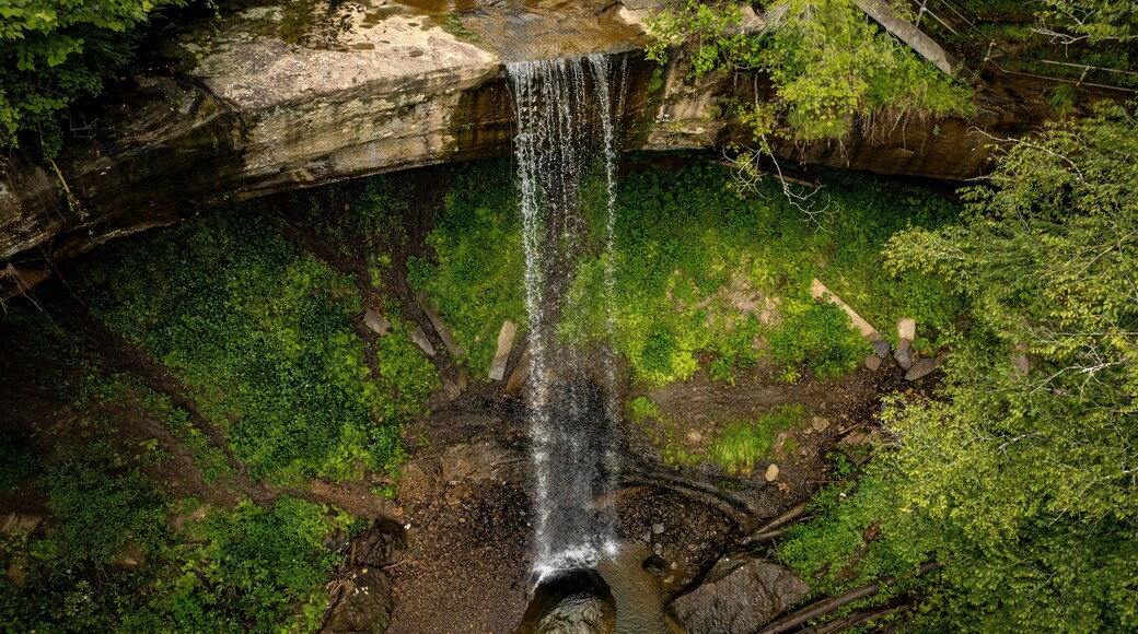 waterfall in the forest