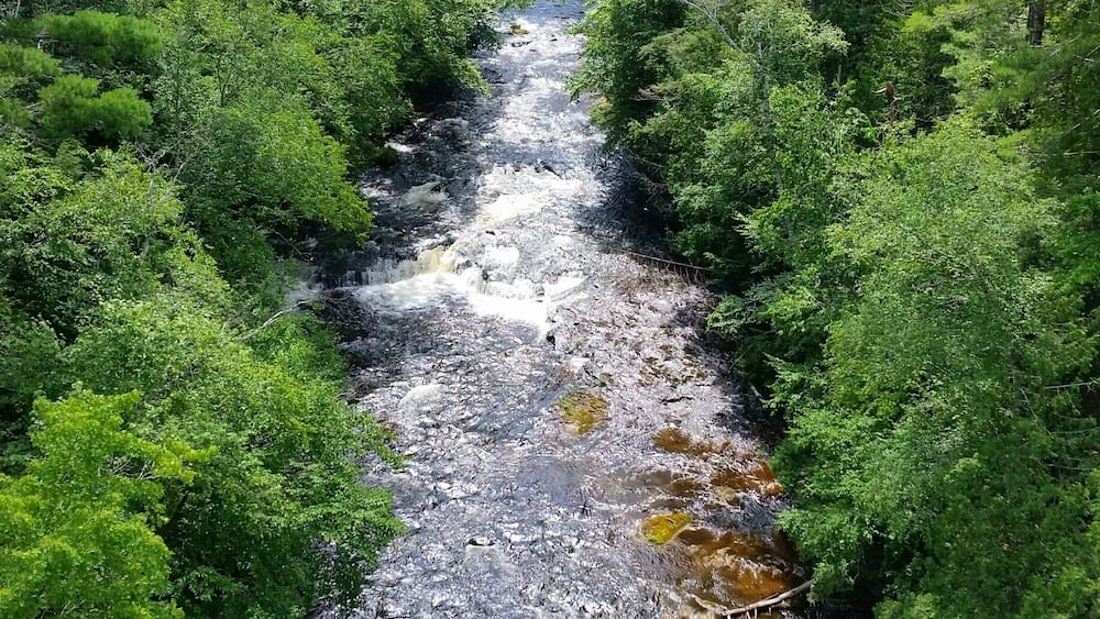 Ein Fluss fließt durch einen Wald, im Hintergrund ist eine Brücke zu sehen.