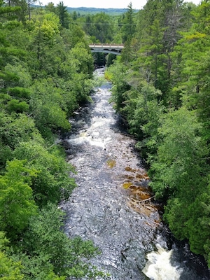 A river flowing through a forest with a bridge in the background.