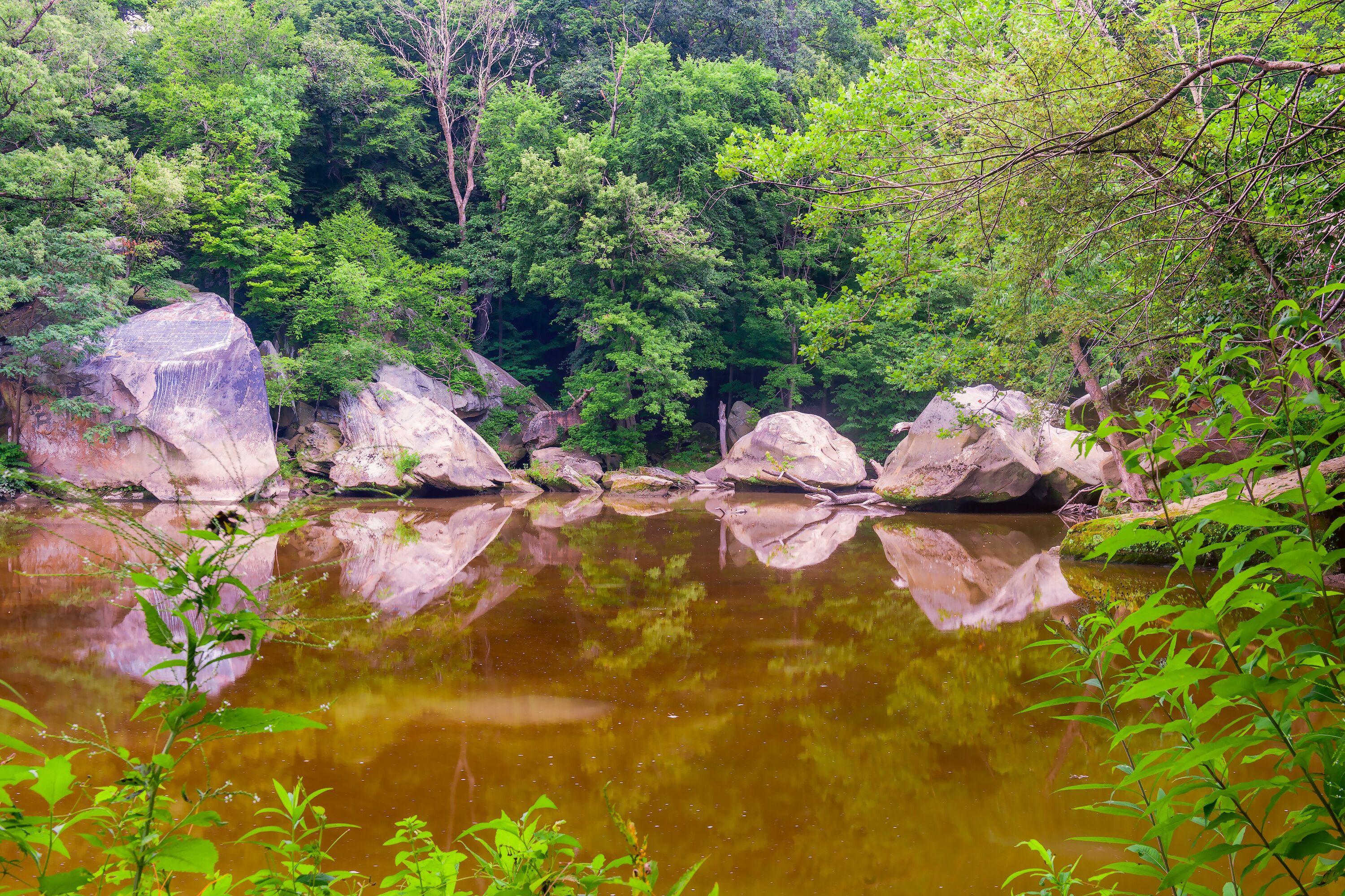 Black river in the Cascade Park area.Elyria.Ohio.USA