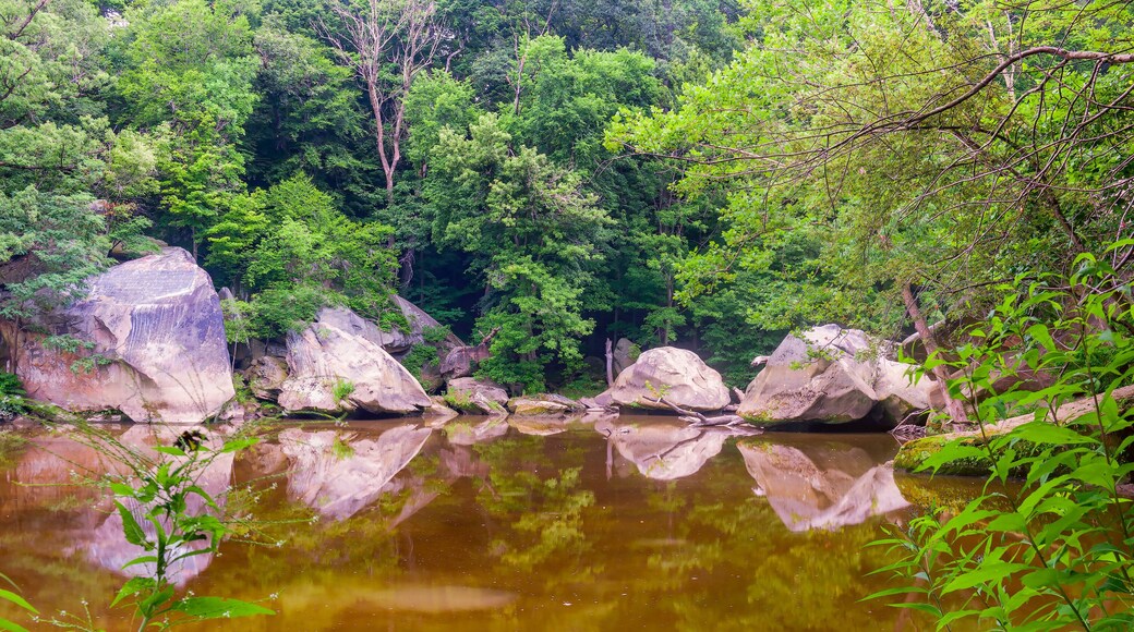 Black river in the Cascade Park area.Elyria.Ohio.USA