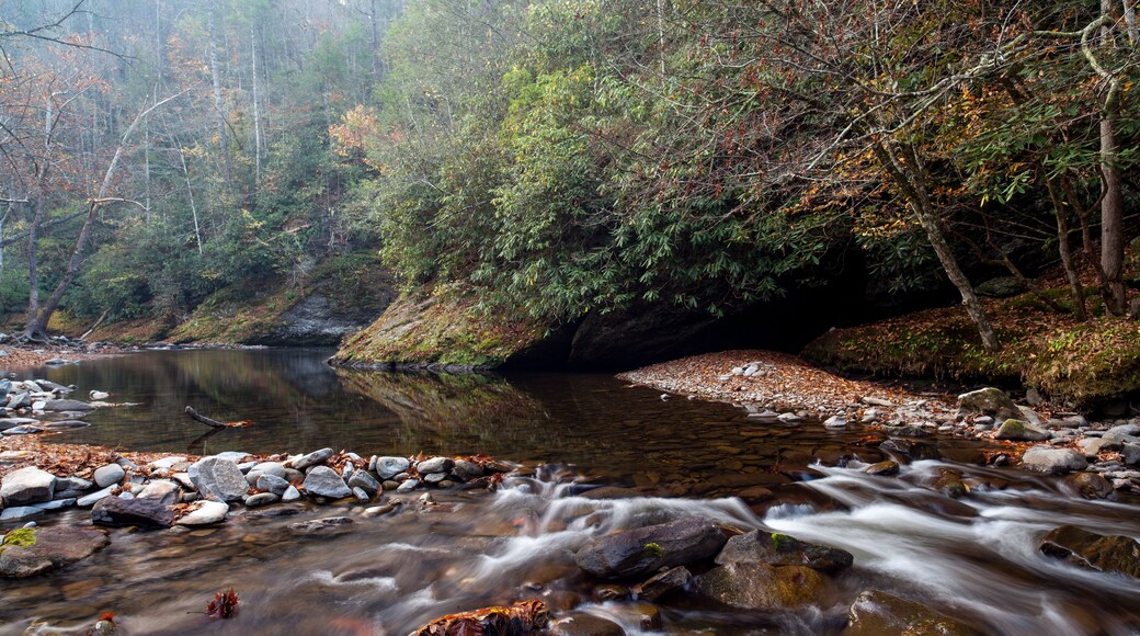 Autumn on the Little River