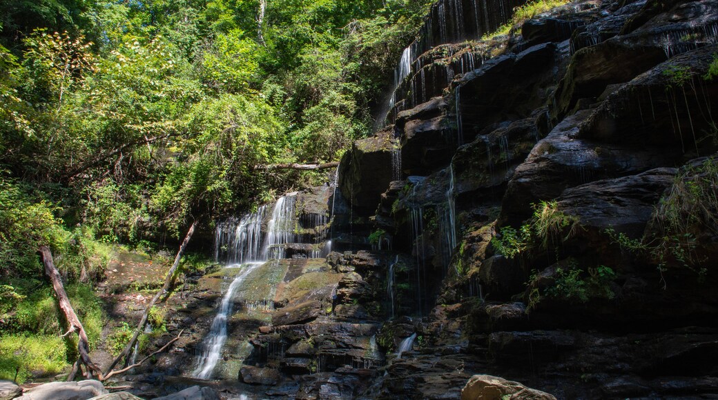 Waterfall in Sumter National Forest in South Carolina