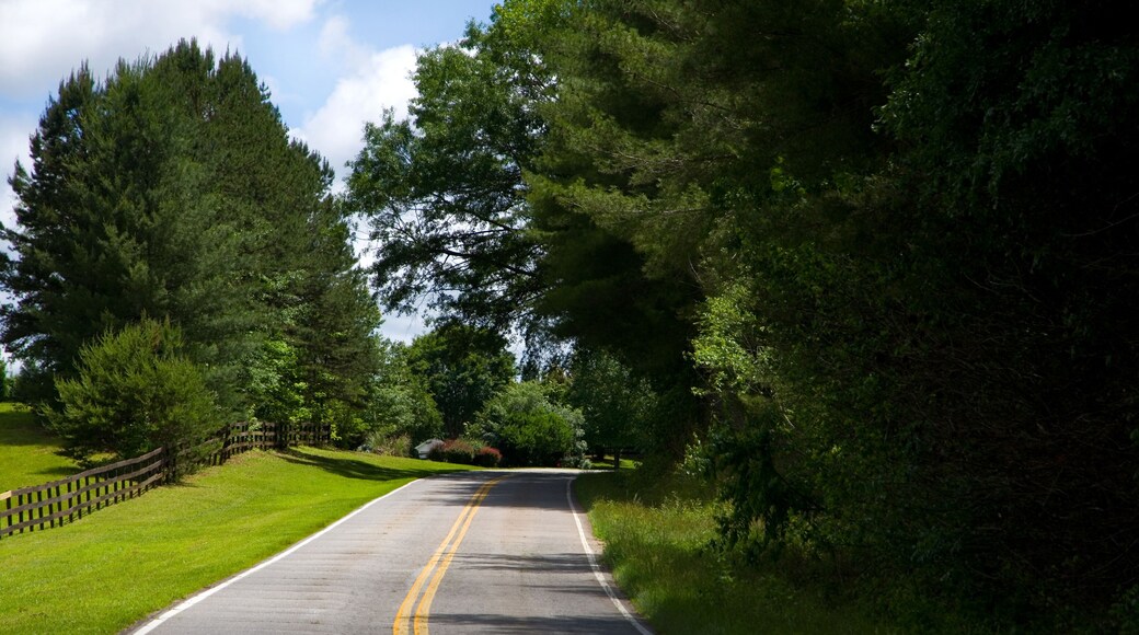 Rural Road in Oconee County in South Carolina USA
