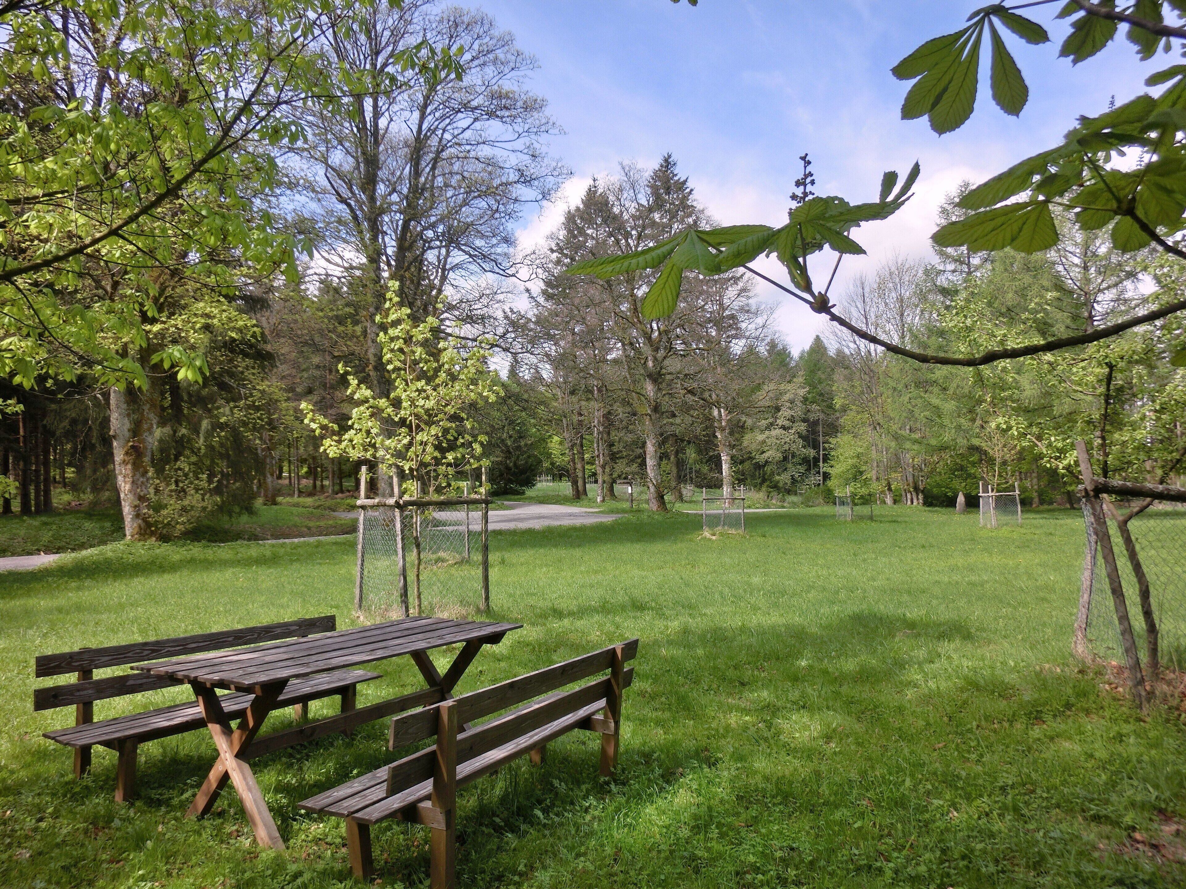 Rastplatz Hirschhorn