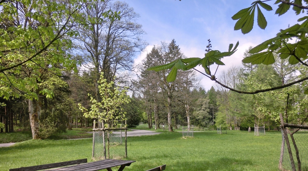 Rastplatz Hirschhorn