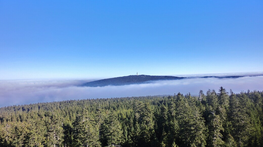 Blick vom Asenturm 3