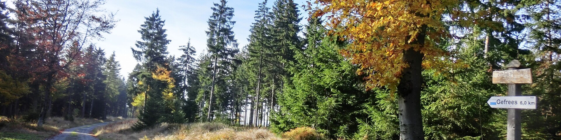 Hohe Heide - Gipfelplateau
