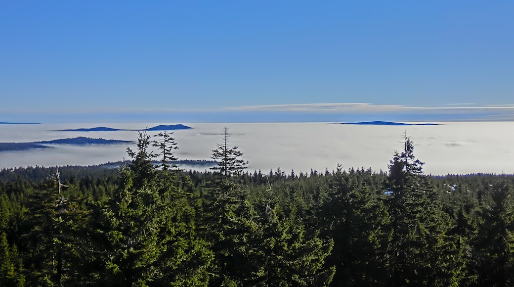 Kösseine und Steinwald über den Wolken