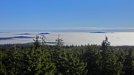 Kösseine und Steinwald über den Wolken
