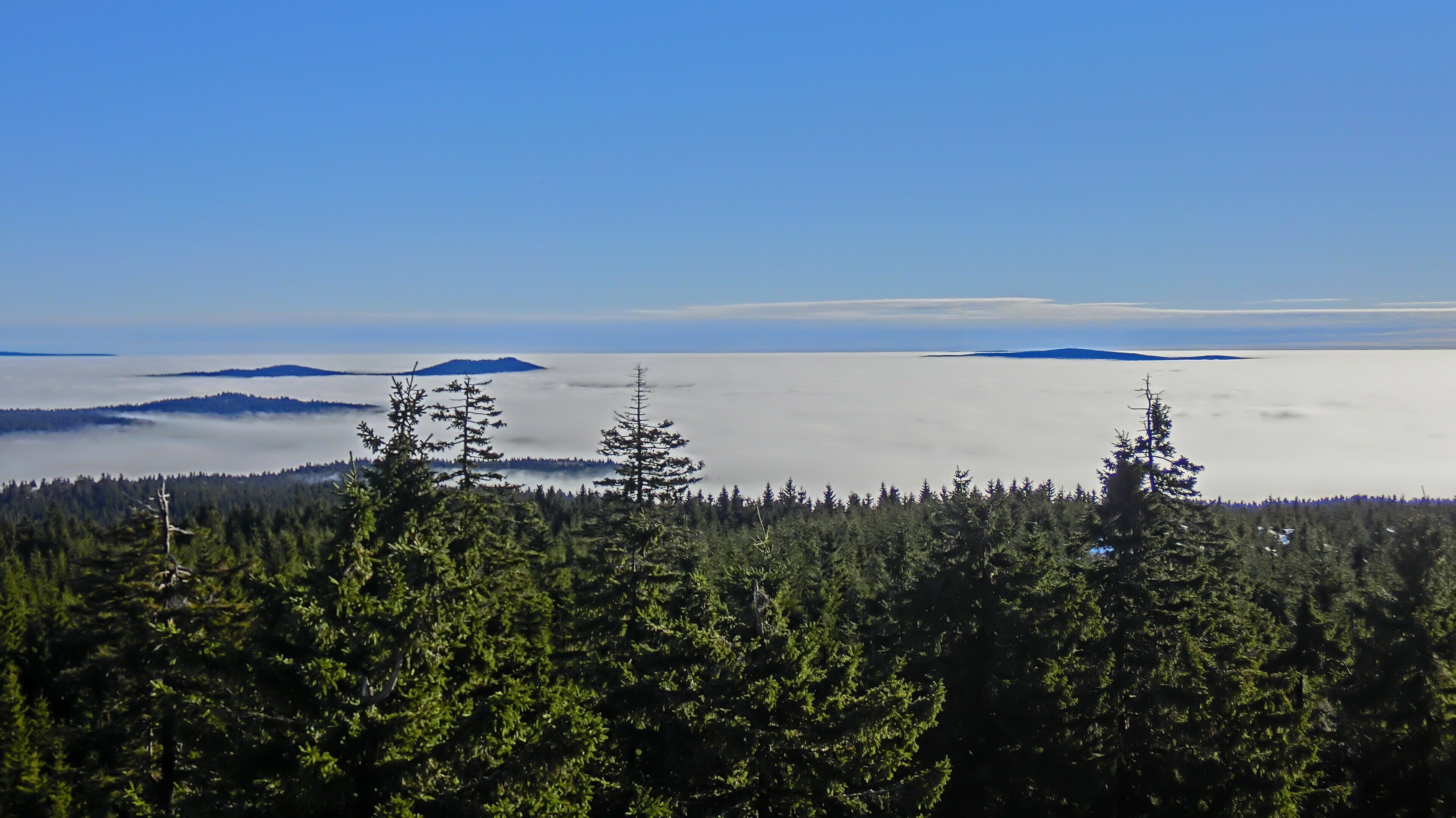A forested mountain landscape with a clear sky and a view of distant islands.