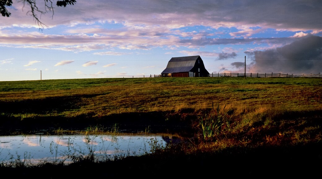 An idyllic scene of a horse in front of a barn at the edge of a pasture with purplish blue/gray clouds in the background and a pond reflecting the clouds in the foreground. Rural Missouri 1990
