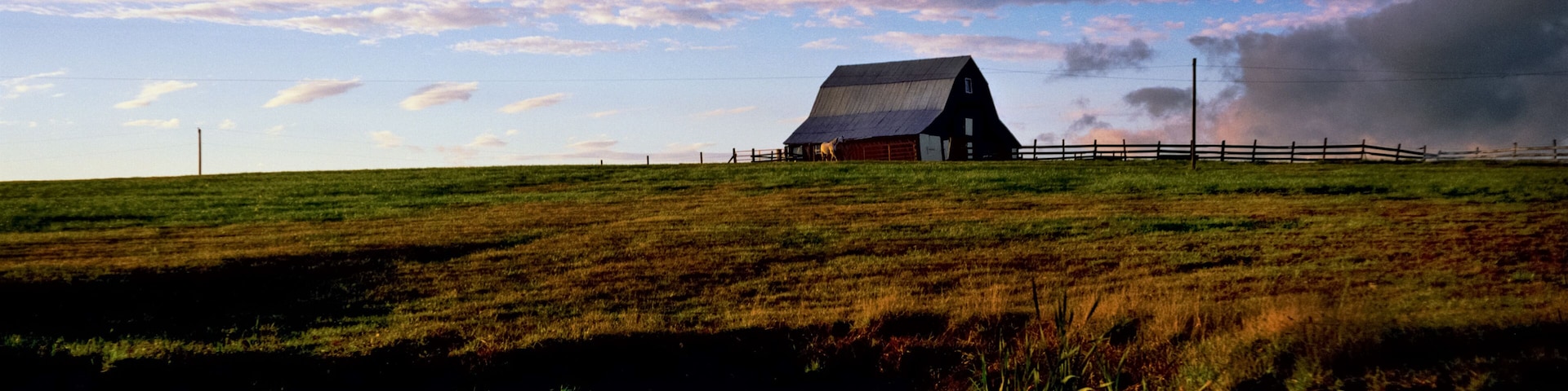 An idyllic scene of a horse in front of a barn at the edge of a pasture with purplish blue/gray clouds in the background and a pond reflecting the clouds in the foreground. Rural Missouri 1990