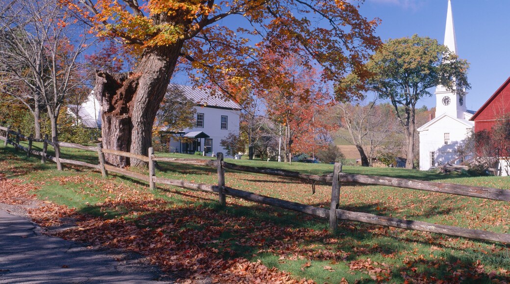 Condado de Caledonia