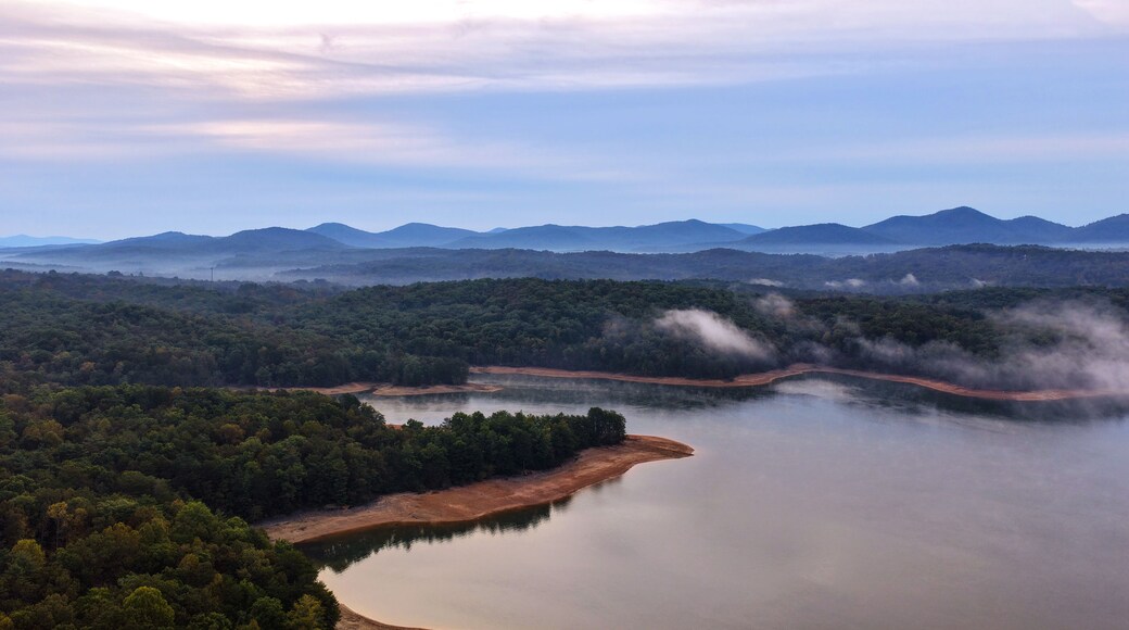 Fannin County