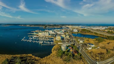 A coastal town with a marina, a bridge, and a highway.