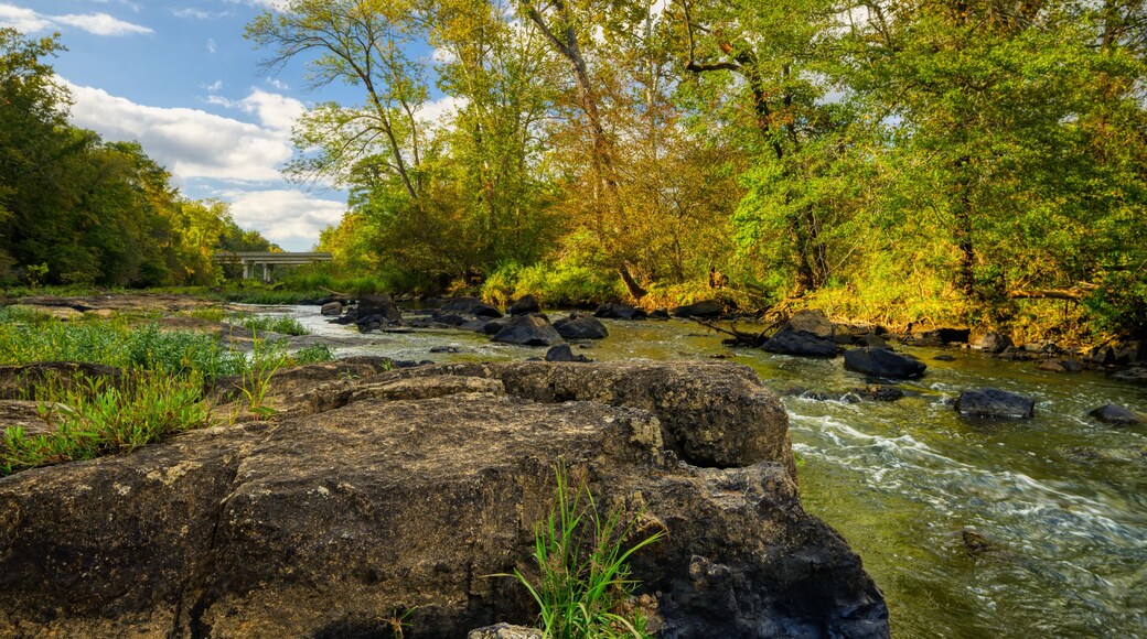 A river landscape of rock formations on the Haw River in the forest in North Carolina.