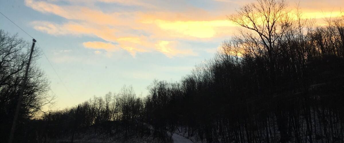A winding road curving through a forest with bare trees and a sunset sky.