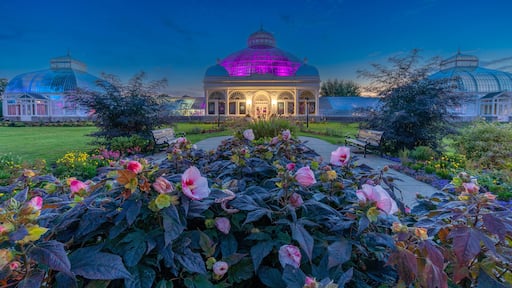 Buffalo & Erie County Botanical Garden Conservatory at Blue Hour