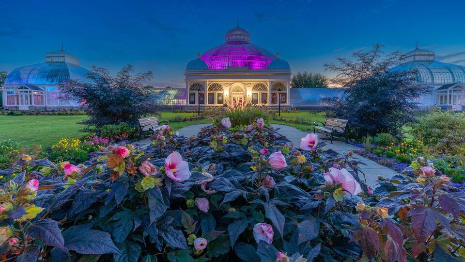 A conservatory with a glass dome, surrounded by a garden with pink flowers and benches.