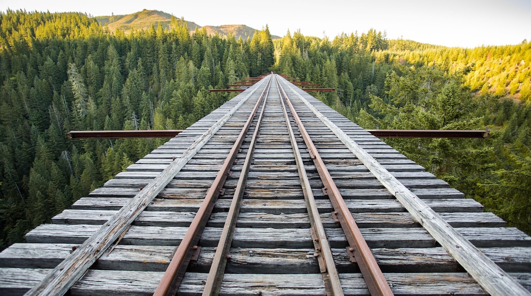 Vance Creek Bridge is an abandoned railroad logging bridge in Mason County, Washington state in the Pacific Northwest