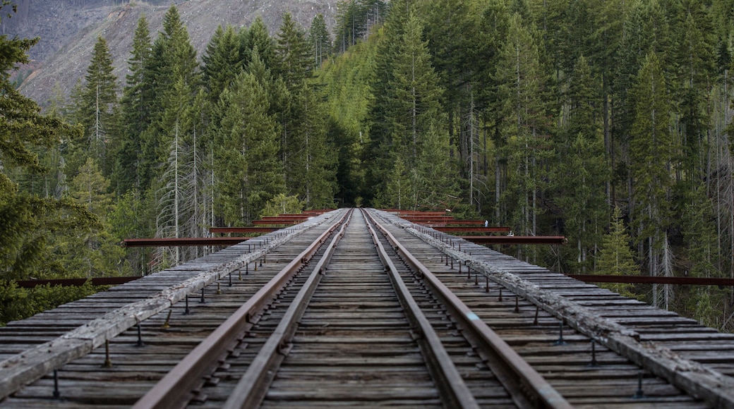 A railway track extending into a dense forest with mountains in the background.