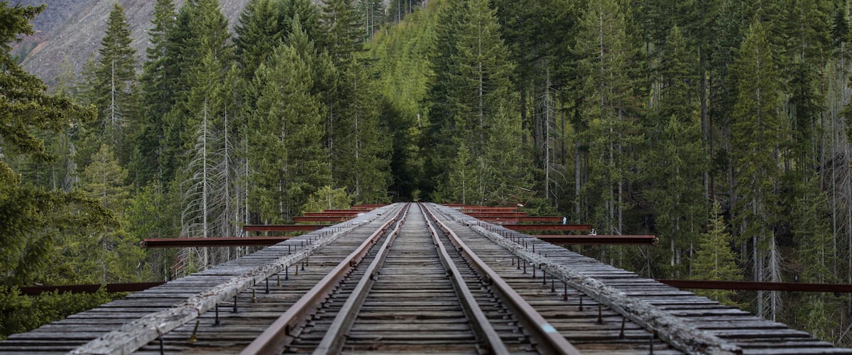 Une voie ferrée qui s’étend dans une forêt dense, avec des montagnes en arrière-plan.