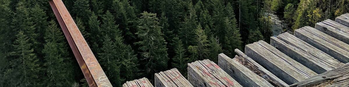 Vance Creek bridge.
#lifeatexpedia #TakeAHike