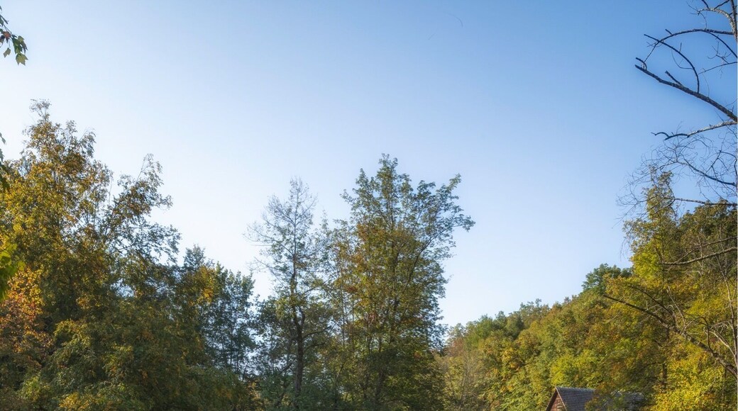 The old grist mill in the upper corner.
