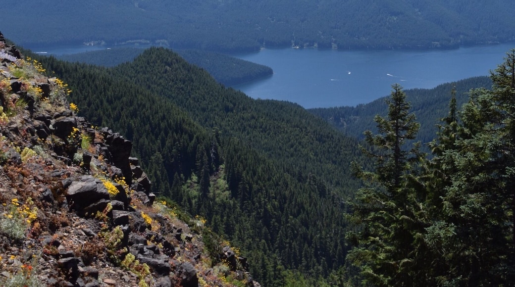 Views of Detroit Lake, Tumble Lake and multiple mountain tops