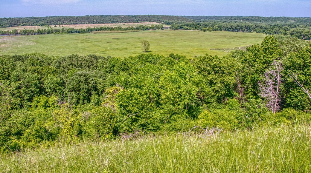 Comté de Yellow Medicine