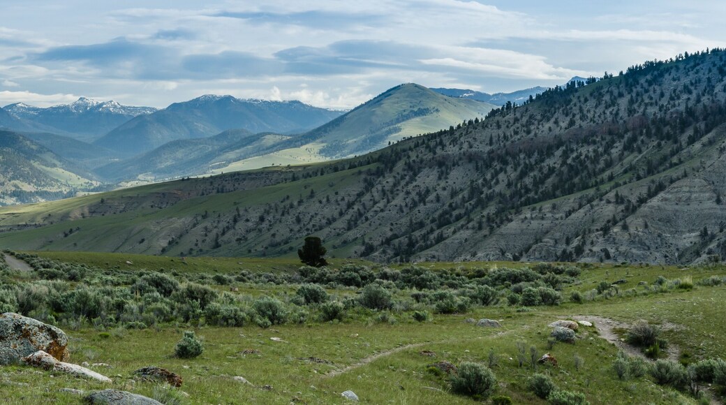 Scenic overlook from Mammoth Hot Springs Montana