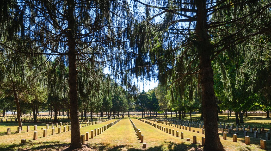 Condado de Rutherford
