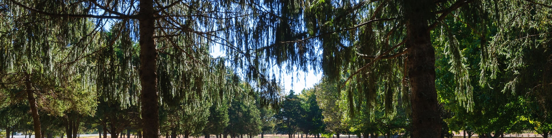 Stones River National Cemetery