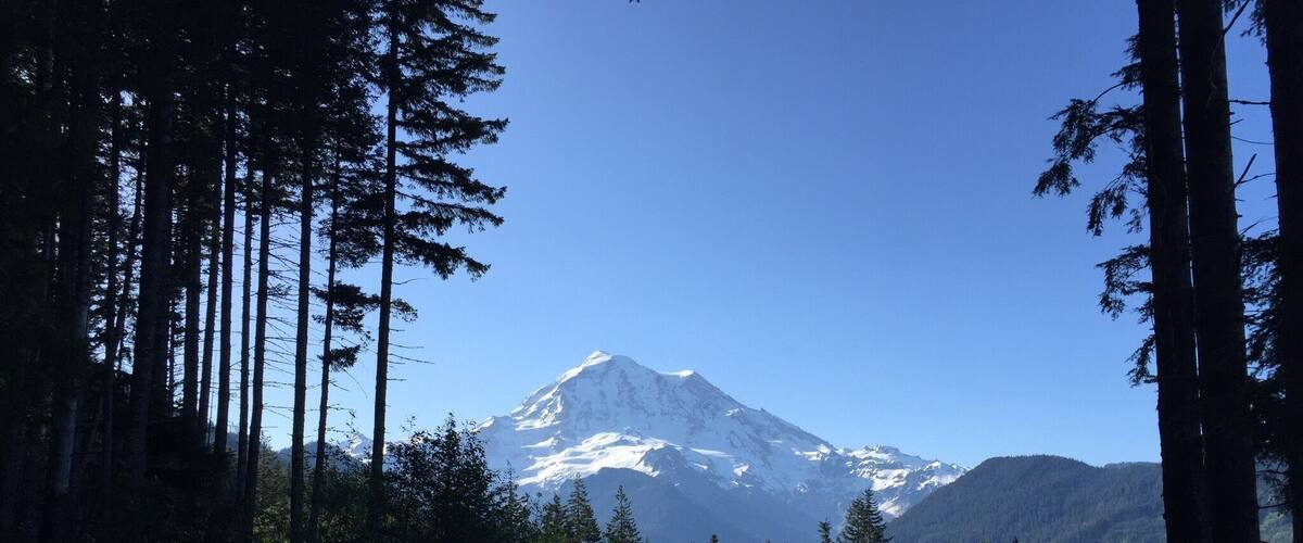 Made a wrong turn but discovered a great view and chill spot!