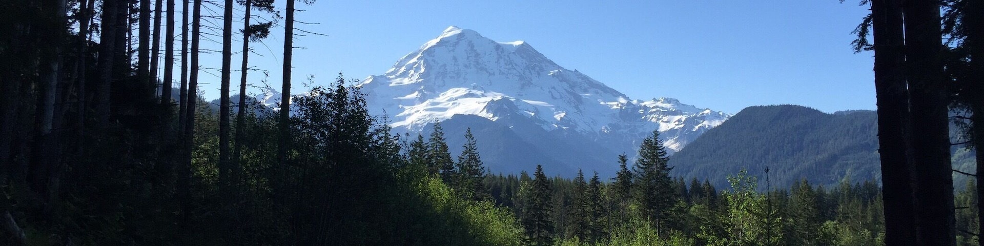 Made a wrong turn but discovered a great view and chill spot!