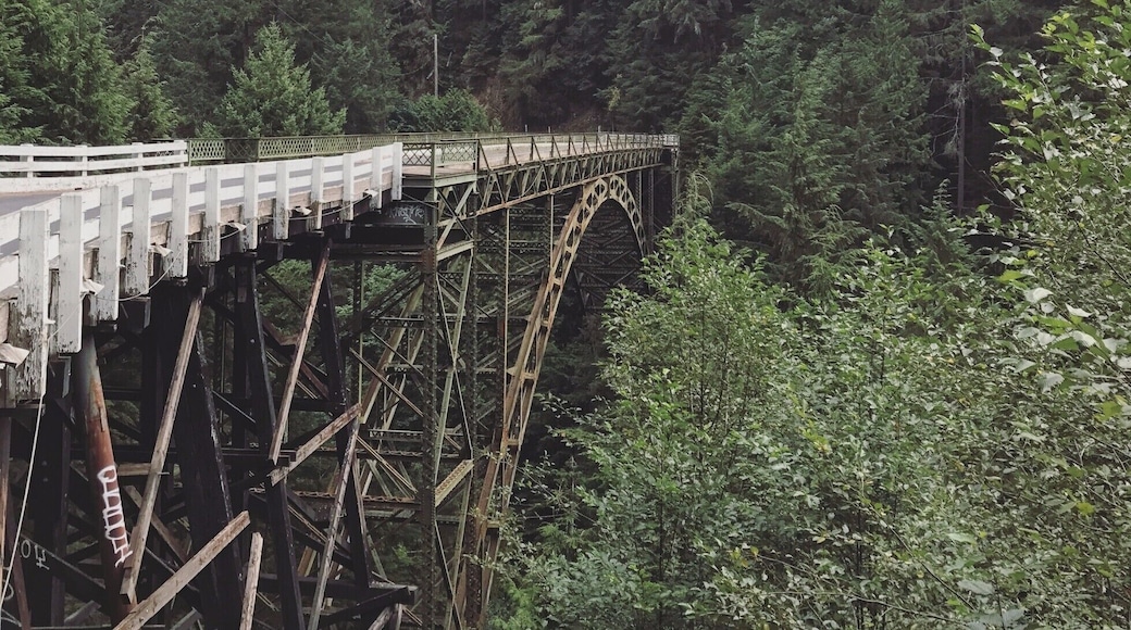 Driving into the Clearwater Wilderness area is like a trip back in time. The curving roads take you first through the quaint, old-western town of Wilkeson, before depositing you suddenly at the edge of a deep ravine, crossable only via the one-lane Fairfax Bridge. On a misty morning, this is an unforgettable scene - one that makes you feel much further from civilization than you actually are. Just make sure to check for oncoming cars before making your way across! #lifeatexpedia #roadtrip
