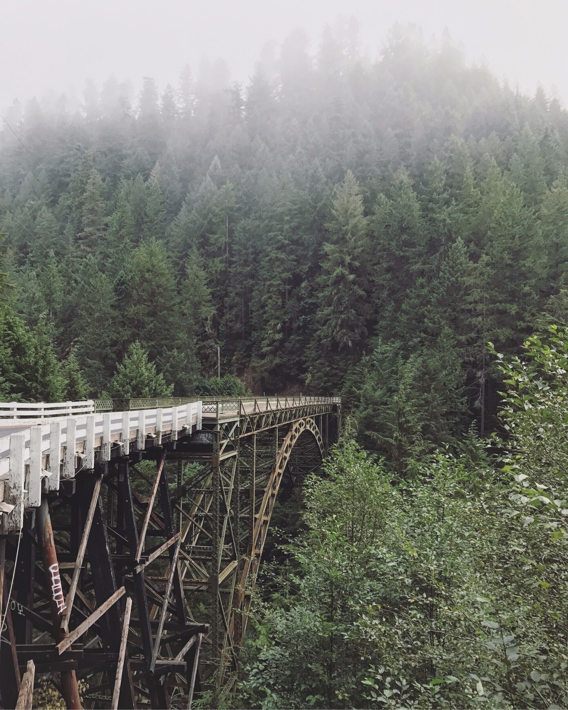 A wooden bridge with an arched design, surrounded by dense forest.