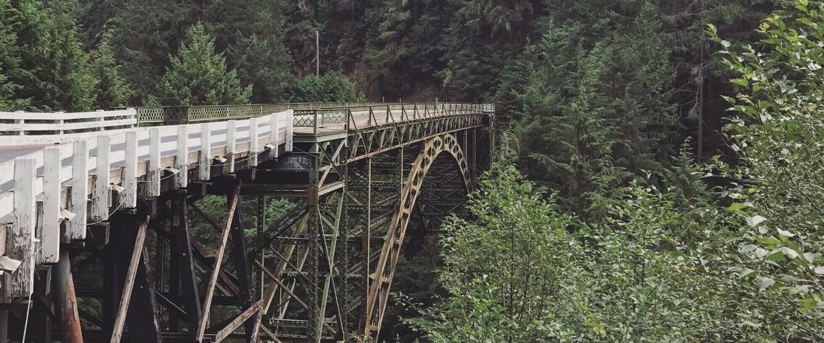 A wooden bridge with an arched design, surrounded by dense forest.