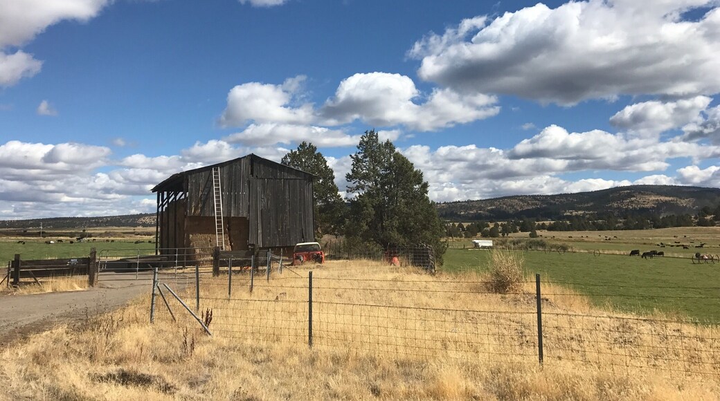 On my way to Eagleville I didn't quite make it. This is where the fuel injection failed and I had to turn back