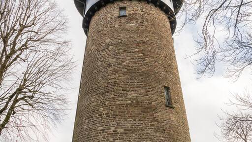 بارك هوزينجن