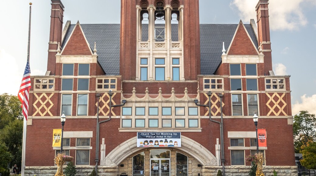 Old Courthouse building with half-staff U.S. Flag.