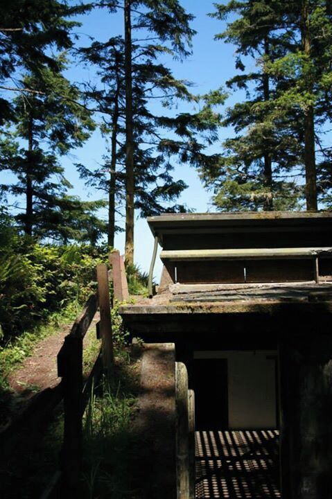 This place is a NW camping staple. Bring your windbreaker cause it can get gusty, but discovering the spooky/cool bunkers is totally worth the drive!